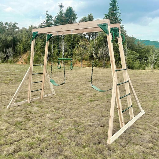 Daintree 2-in-1 Monkey Bars & Swing Set Global Fitness
