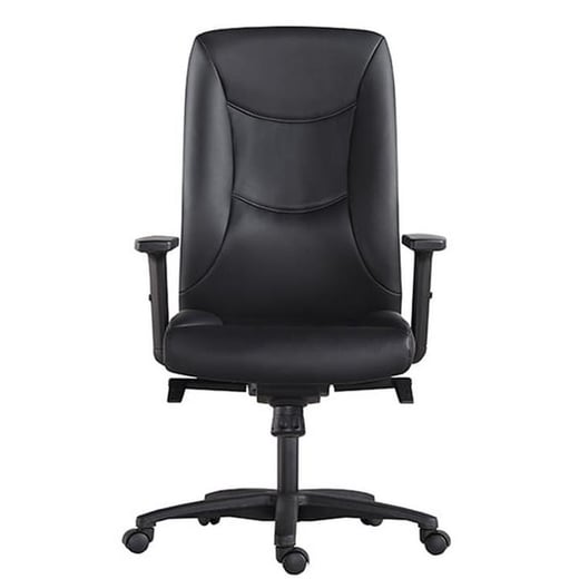 Hilton PU Leather Executive Office Chair, High Back Style Ergonomics