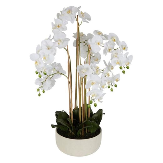 Real Touch Artificial Orchid in Ceramic Bowl, 100cm Florabelle