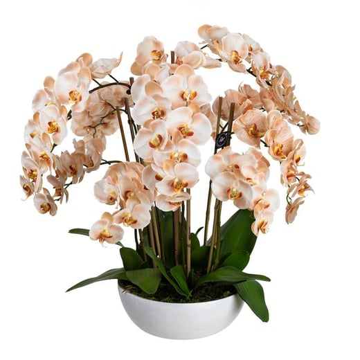 Mireille Artificial Phalaenopsis Orchid in Ceramic Bowl, 80cm, Salmon Flower Glamorous Fusion