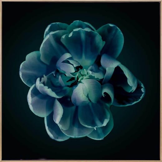 Charm Canvas Art Print Urban Road